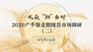 收获”郑“当时——2020产季强麦期现货市场调研（二）